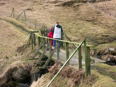 Crossing the Bridge