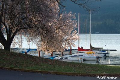 Dexter Lake