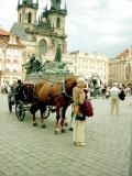 Buggy ride.