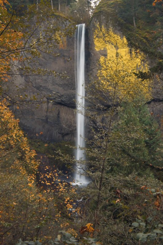 IMGP1644.jpg