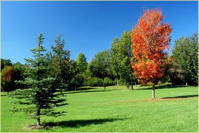 Autumn