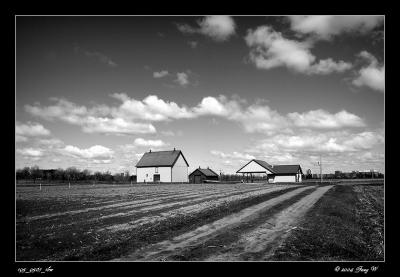 c195_9567_1bw.jpg