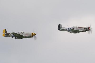 DSC_8911.jpg