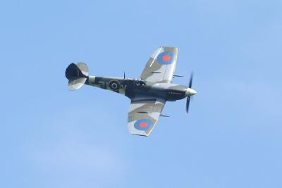 DSC_8992.jpg