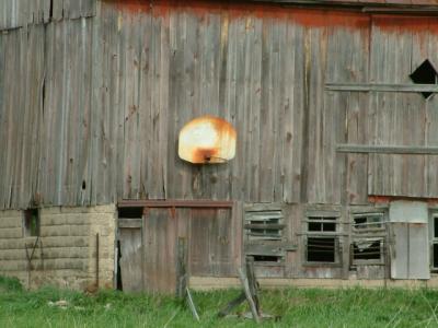 Barnyard Basketball