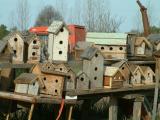 For the Birds