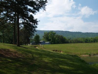 Cabins at The base of Sauertown Mountain