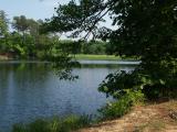 The Lake