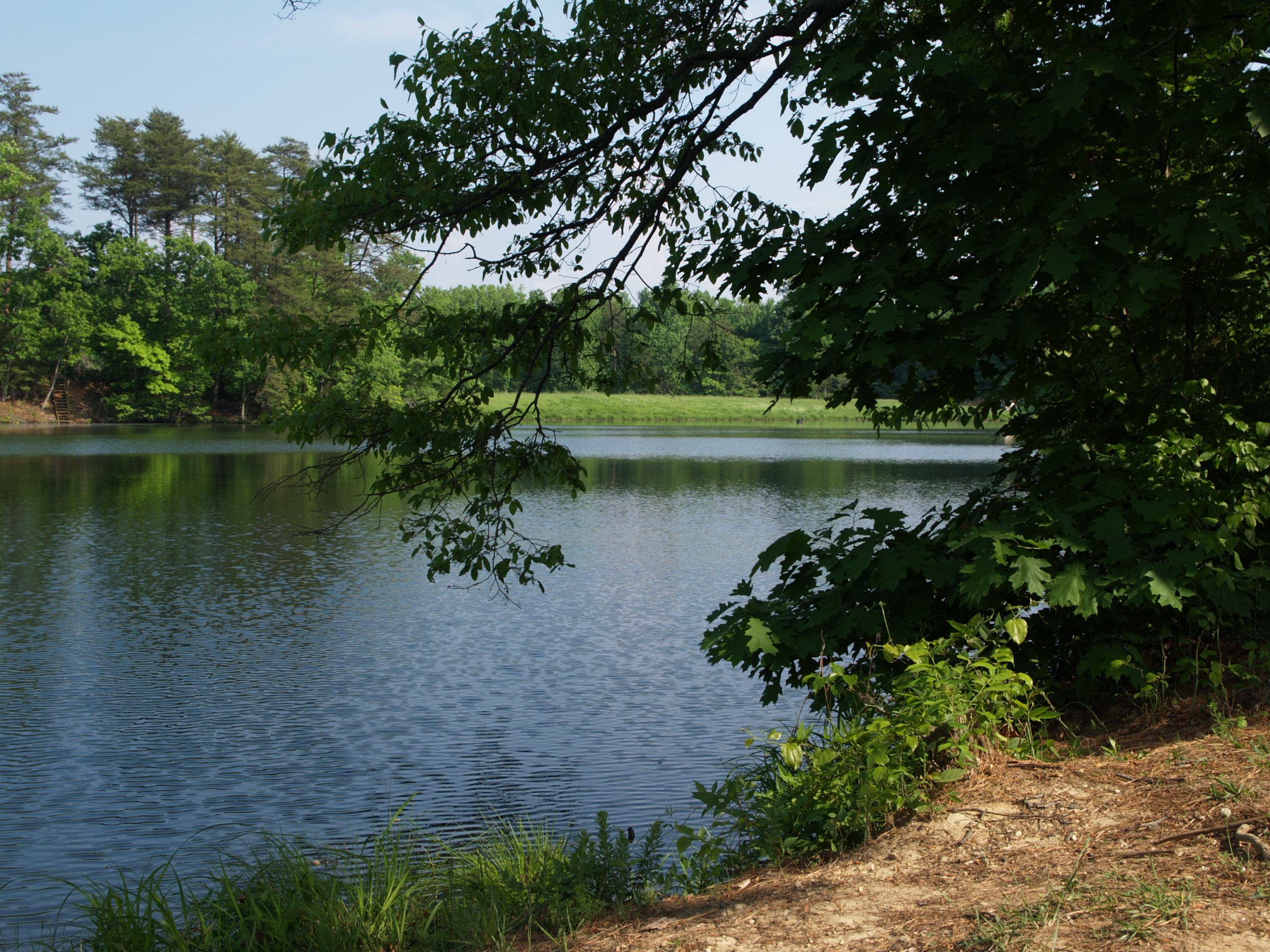 The Lake