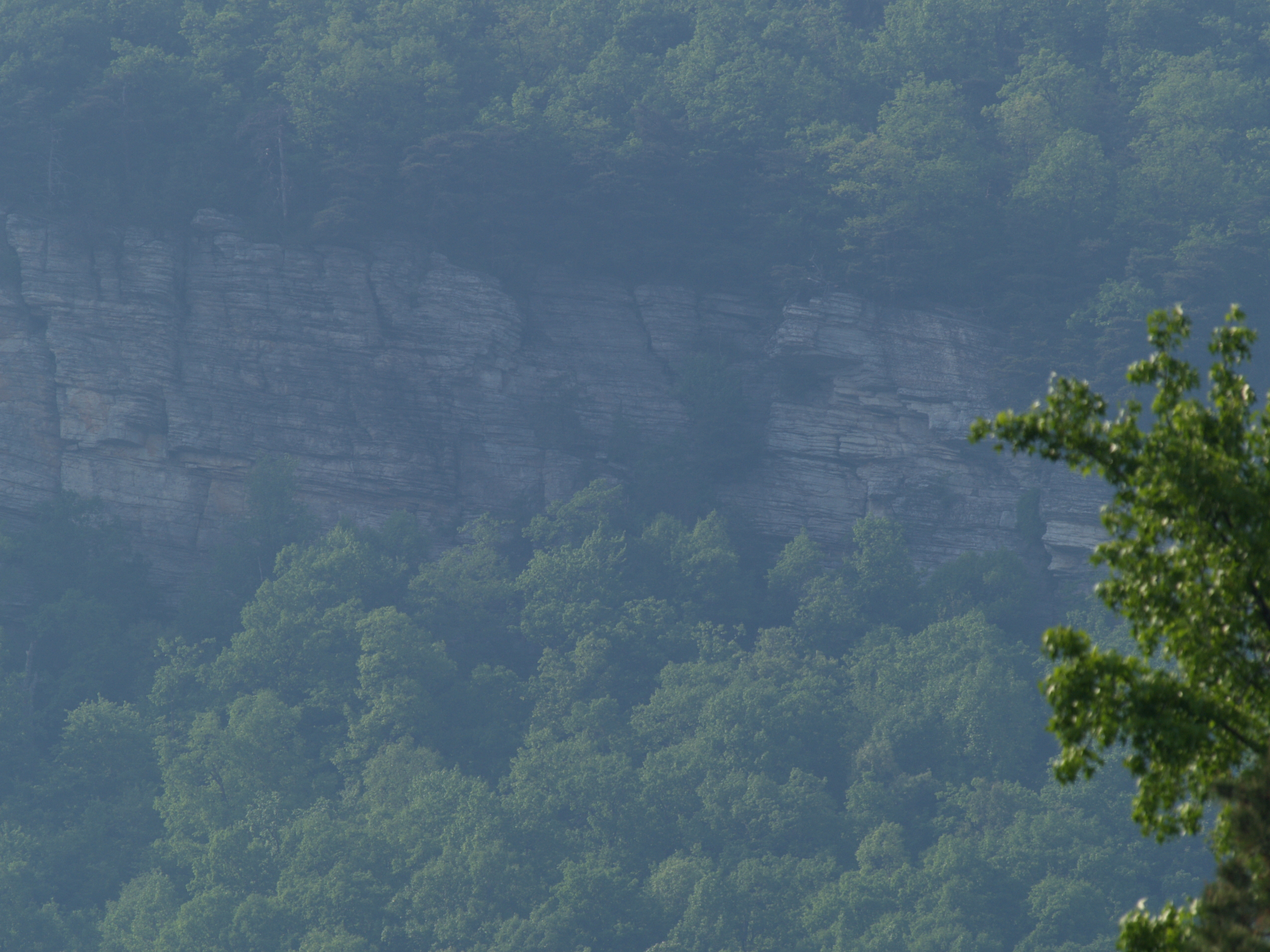 Closeup of the ridge