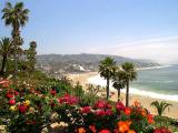 Colorful Laguna Beach