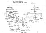   002Saitowitz tree.jpg