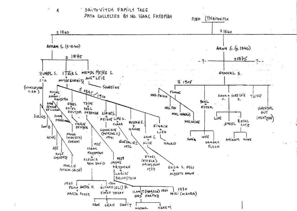   002Saitowitz tree.jpg