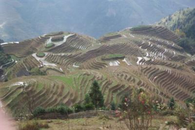 Dragon's Backbone Rice Terrasses