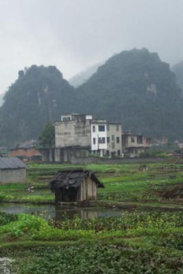 u44/ghislain3/medium/28373920.GuangxiYangshuo1202031.jpg