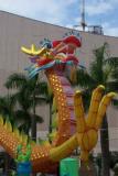 The Mid-Autumn Festival Dragon