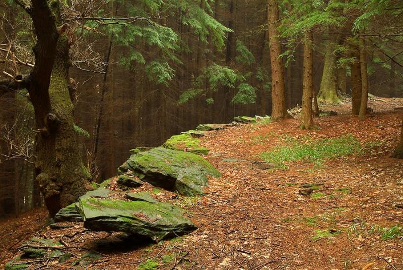 Top of the old tramway, Trawscoed, Mountain Ash.
