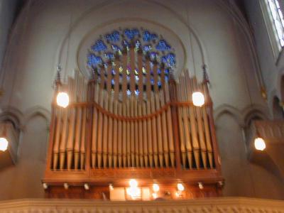 y 0116 organ.JPG by craig