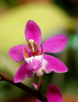 PICT0006.JPG