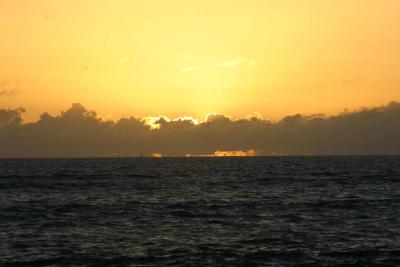 IMG_2694.jpg