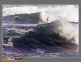 surf01f.jpg