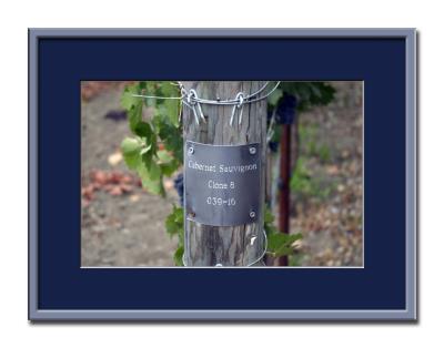 u44/gregorysmith/medium/39727231.Winecountry2004.jpg