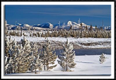 Yellowstone's Winter Wonderland
