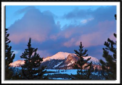 Twilight Glow in the Gallatin National Forest