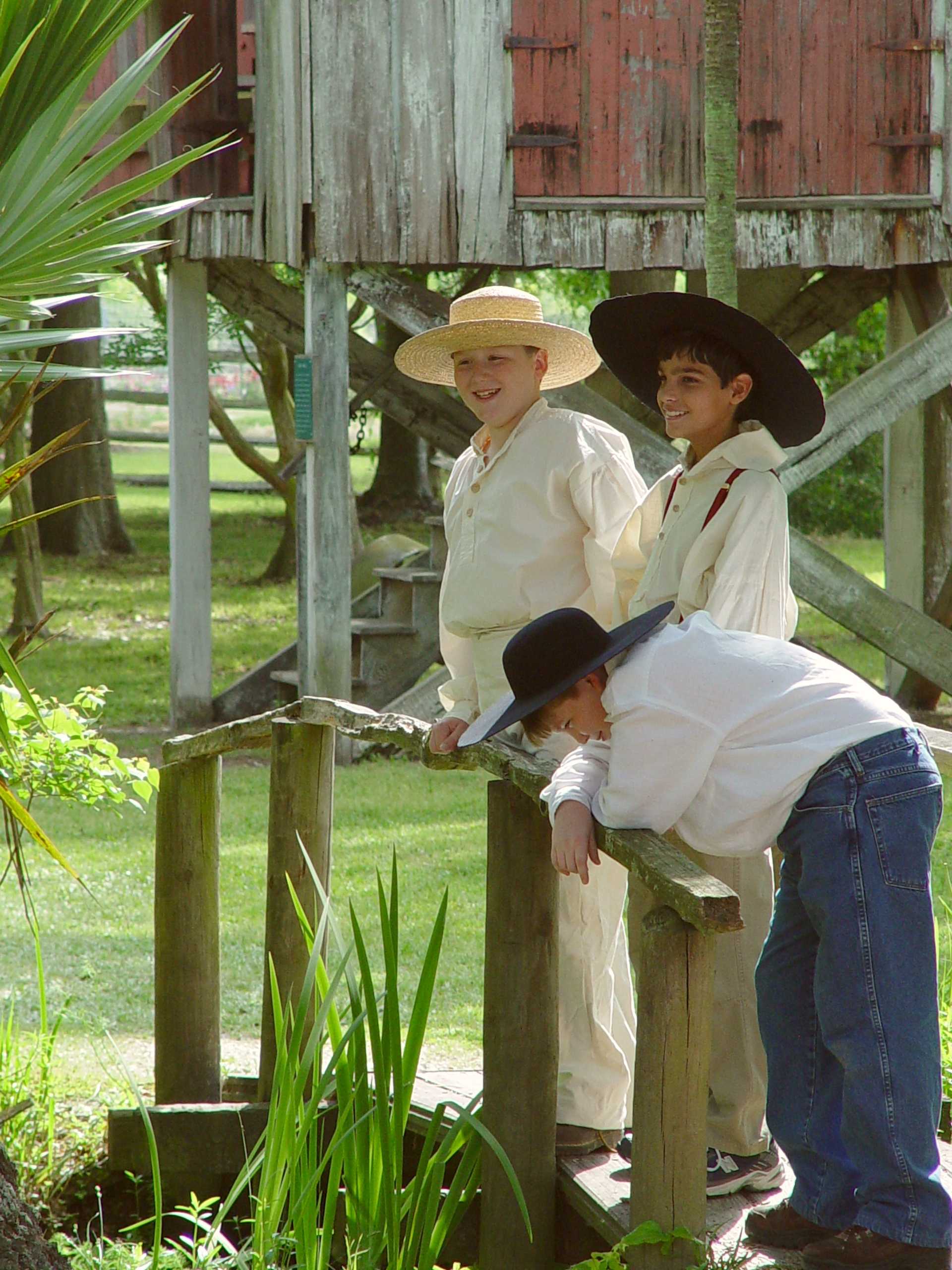 RURAL0080.JPG
