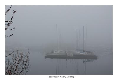 Sail Boats in the morning mist