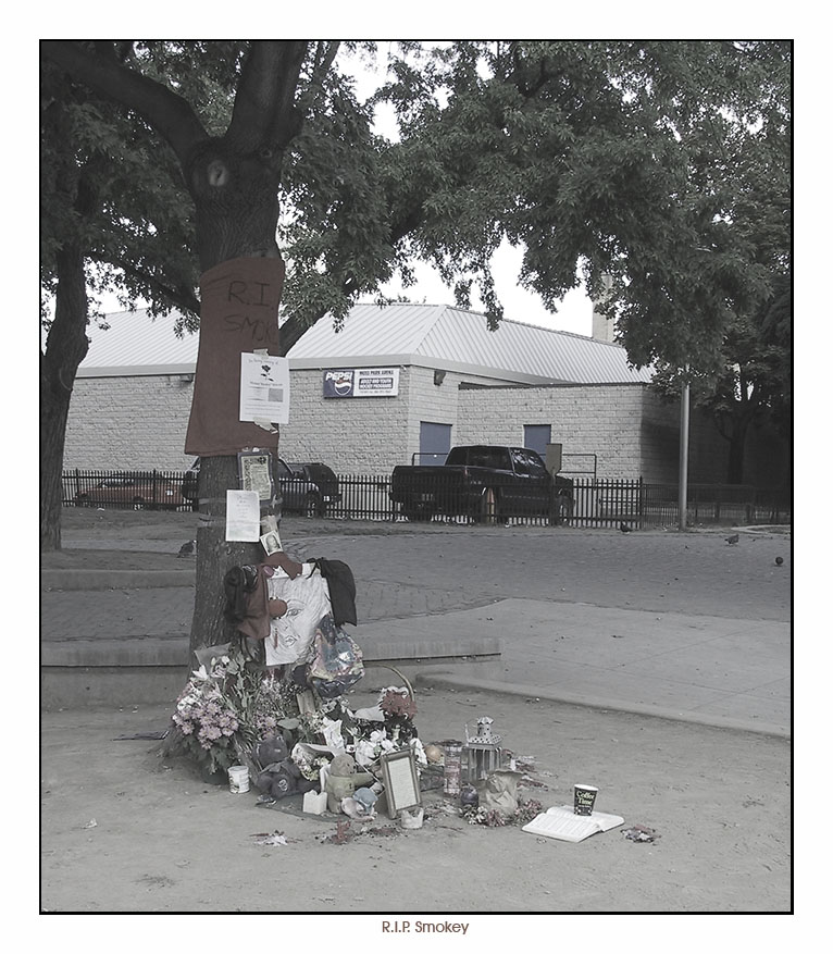 R.I.P. Smokey