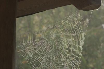 CRW_8320.jpg