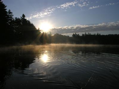 Fishing Morning.jpg