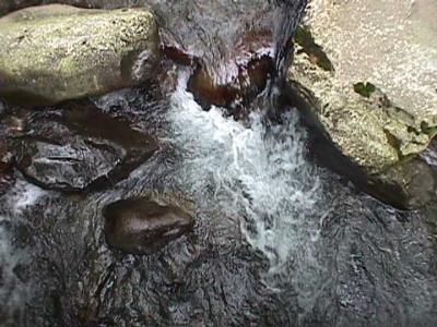 u44/harlene/medium/28325609.LittleWaterfallGreenbrierNP.jpg