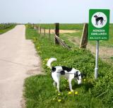 Joop's Dog Log - Thursday Apr 29