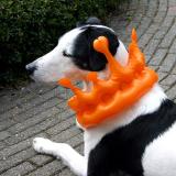 Joop's Dog Log - Friday Apr 30