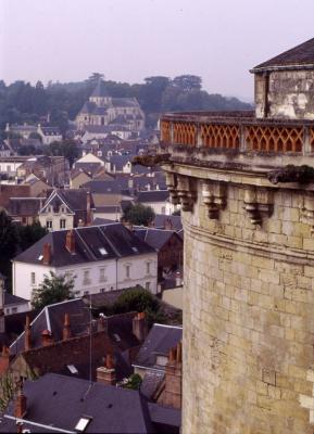 Amboise from the Chteau [35mm]