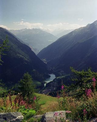 View Toward Rhone Valley [35mm]