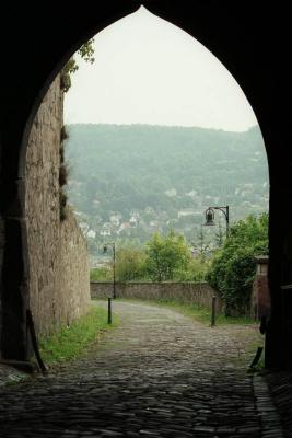Gate of the Schloss [35mm]