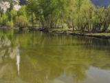 Merced River, Reflection of Upper Yosemite Fall [D]