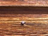 Detail of wood and nail [D]