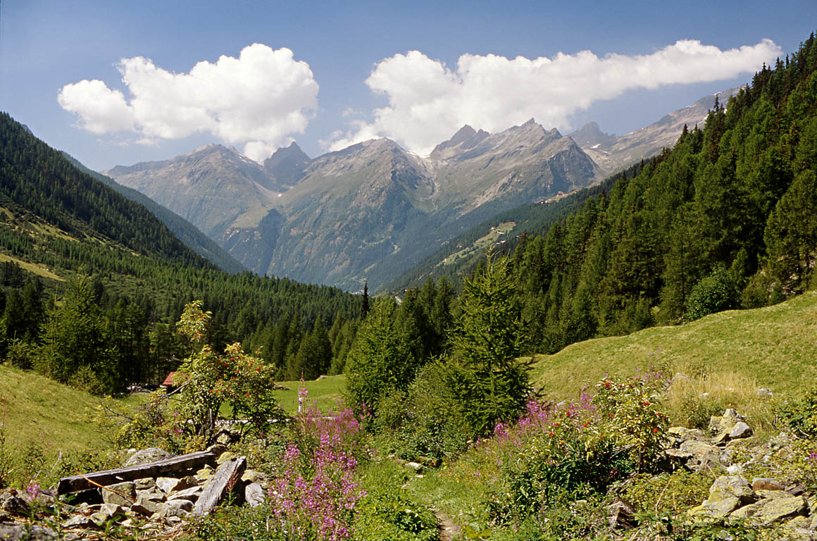 View Down the Valley from Fafleralp [35mm]