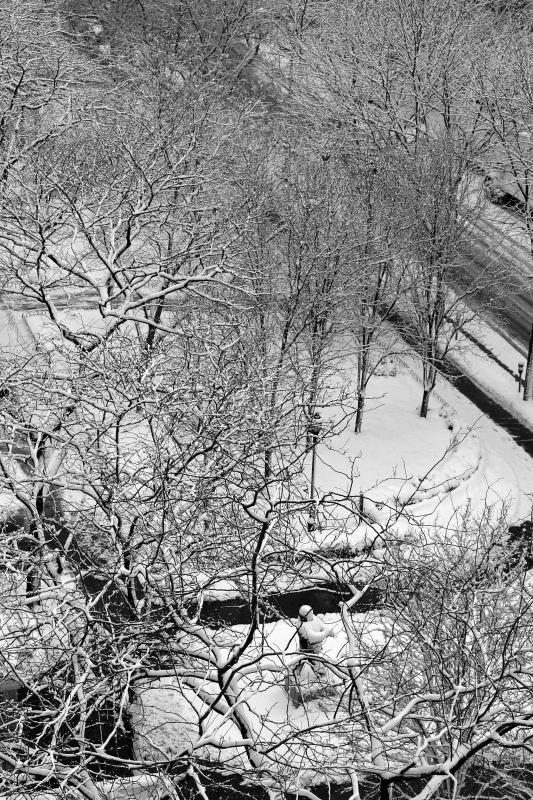 LaGuardia Place Gardens