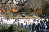 Central Park Wollman Rink
