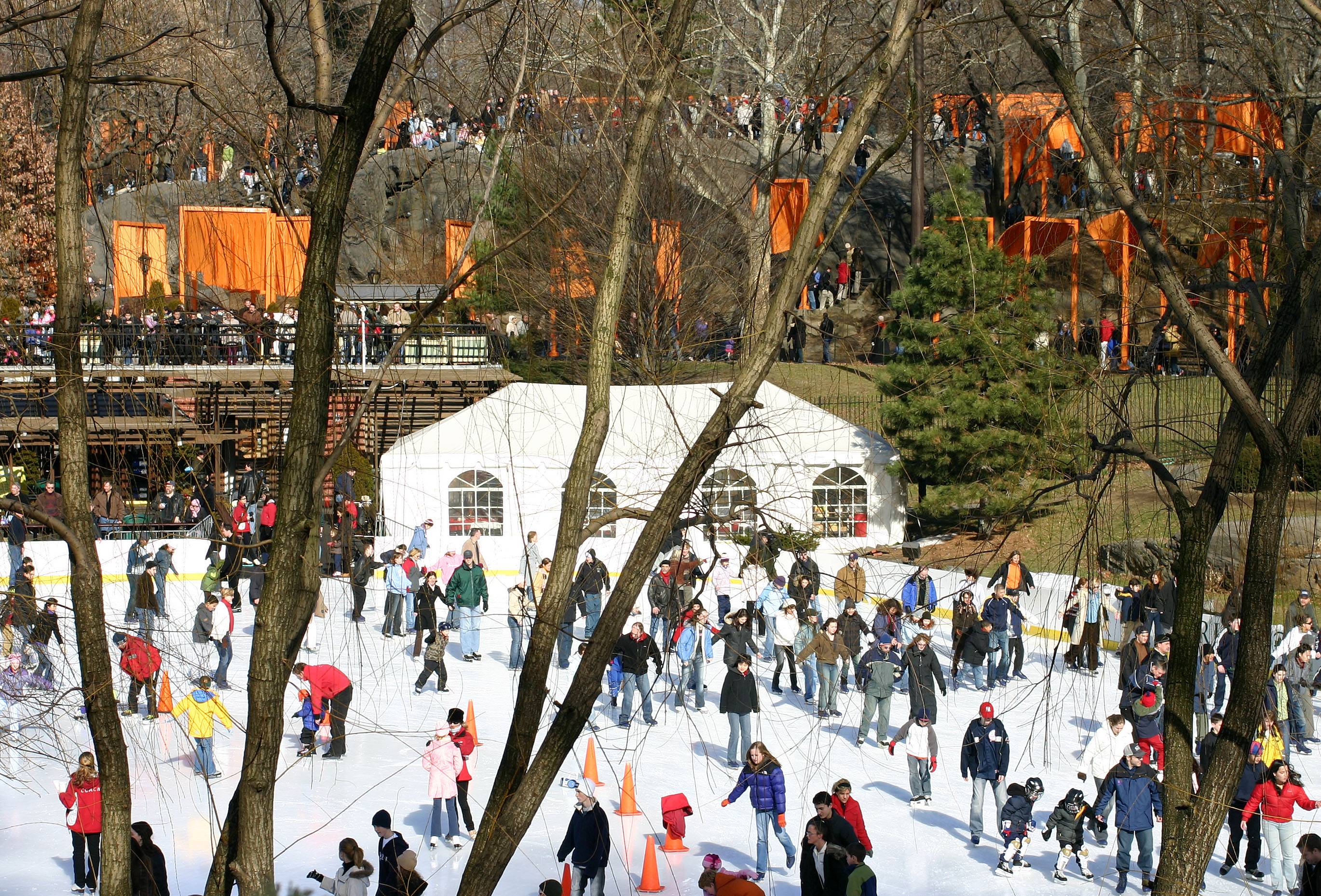 Ice Rink & Gates