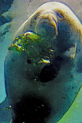 u44/hodad66/medium/28682499.CRW_1473paint.jpg