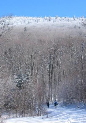 bartlettsludlowmtn