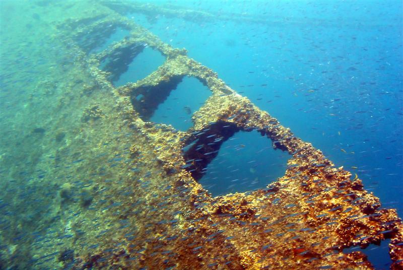 DSC01298 - More of the wreck of the Antilla with school of tiny fish