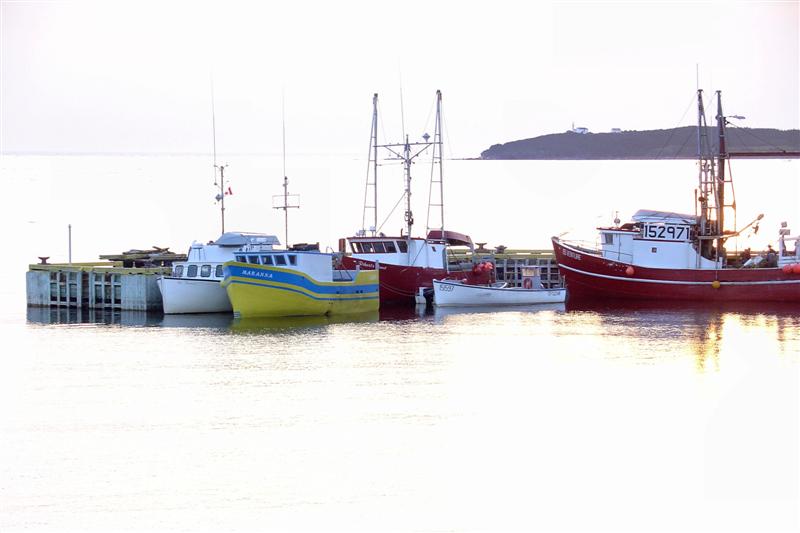 Fishing boats against a bright sunset at Rocky Harbour