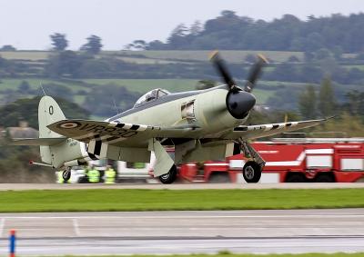 Sea Fury (5)